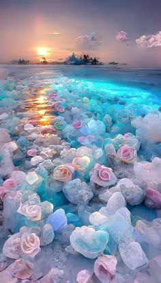 the sun is setting over an ocean covered in ice and flowers