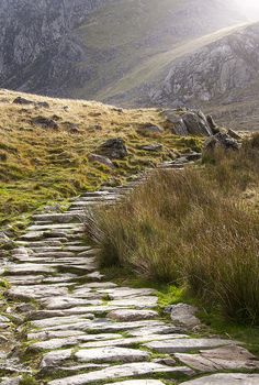 a stone path in the mountains with grass growing on it