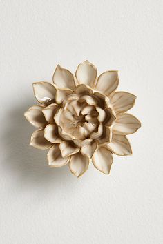 a large white flower sitting on top of a wall