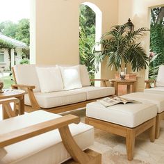 a living room filled with furniture and a plant