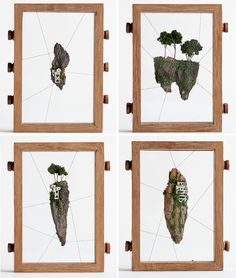 four framed pictures with trees in the shape of animals and houses on top of them