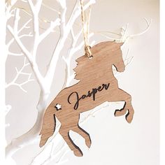 a wooden horse ornament hanging from a tree with the name japen on it