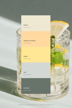 a glass filled with lemons and limeade next to a card that says color options