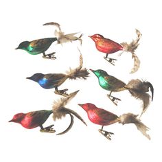 six colorful birds with feathers in the air