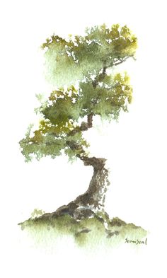 a watercolor painting of a bonsai tree