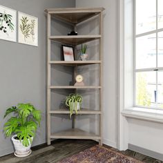 a corner shelf in the corner of a room with potted plants and pictures on the wall