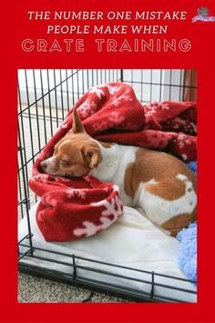 a brown and white dog laying on top of a red blanket in a cage with the words, the number one mistake people make when crate training