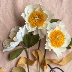 three white flowers with yellow center surrounded by ribbon and scissors on a pink cloth background