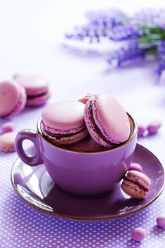 two pink macaroons are in a purple cup on a saucer next to lavender flowers