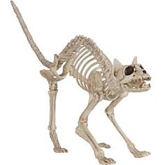 a skeleton dog figurine standing on its hind legs