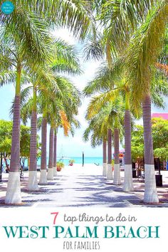 palm trees line the beach with text overlaying top things to do in west palm beach for families