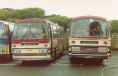 three buses parked next to each other in a parking lot with trees and bushes behind them