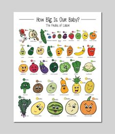 a poster with different fruits and vegetables in the shape of faces, which are labeled how big is our body?