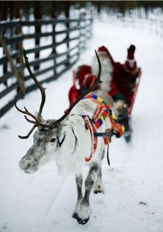 a reindeer is pulling a sleigh with people in it