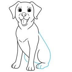 labrador drawing cute