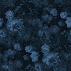 an abstract blue background with flowers and leaves stock photo - 959782