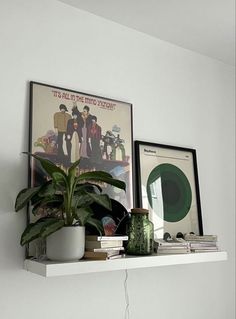 there is a potted plant on the shelf next to some books and posters in this room