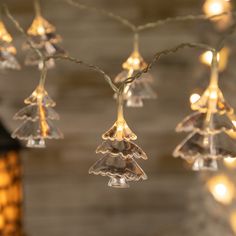 christmas lights hanging from a tree branch with clear glass ornaments on the top and bottom