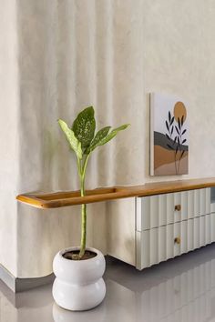 a potted plant sitting on top of a wooden shelf next to a white cabinet