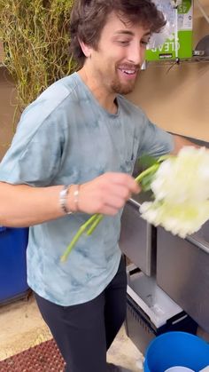 Hydrangea Hack 💚💚 | John Mark Sharpe | Lux-Inspira · So Much Happiness Life Hackers, Fun Party Themes, Plant Hacks, Greenhouse Gardening, Deck Garden, Garden Tips, April 21, Garden Trees, Garage Organization