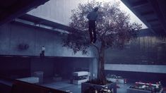 a man climbing up the side of a tree in a building with lots of windows