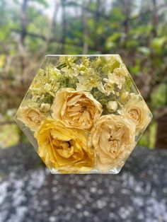 some yellow flowers are in a glass vase on a rock surface with trees in the background