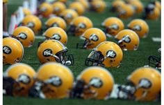 many football helmets are lined up on the field