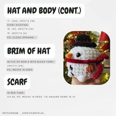 a crocheted snowman hat and body cont is featured in the brochure