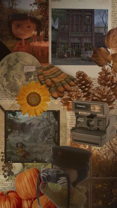 a collage of photos and pictures with an old camera, sunflowers, pumpkins, leaves, etc