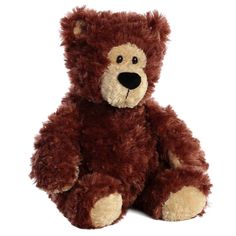 a brown teddy bear sitting up against a white background