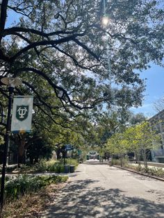 an empty street with trees on both sides and a sign in the middle that says go