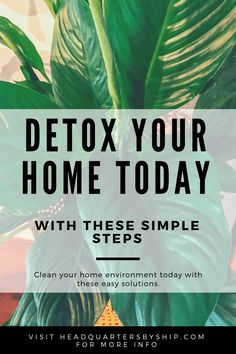 Easy ways to purify your home and create a healthier, green environment for you and your family. #springcleaning #greenhoome #cleanliving #healthyhome #ShipsHQ Spring Cleaning | Detox Your Home Detoxing Your Body, Detox Your Home, Natural Healing Remedies, Green Environment, Increase Energy Levels, Cleanse Your Body, University Of Colorado, Toxic Chemicals, Healthier Lifestyle