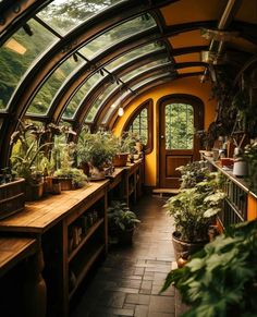 the inside of a greenhouse with lots of potted plants