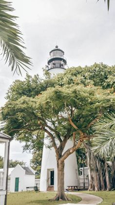 a tree in front of a white building with a light house on it's top