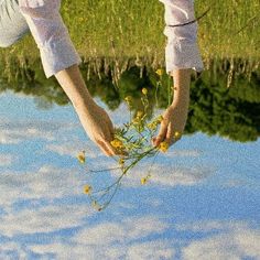 a person reaching for some flowers in the water