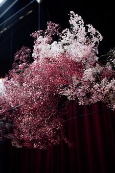 pink and white flowers are in front of a red drapes on a stage curtain