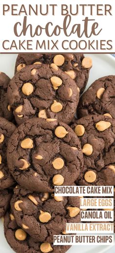 chocolate cookies with peanut butter in the middle are stacked on top of each other and topped with chocolate chips