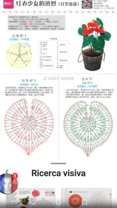 the instructions for crocheted flowers in chinese