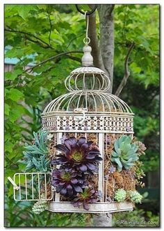 a birdcage with succulents and plants hanging from it's sides