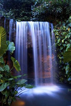 a small waterfall surrounded by lush green plants and greenery in the evening light, with water cascading over it