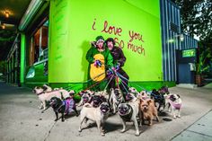 a group of dogs standing in front of a green building with graffiti on the side