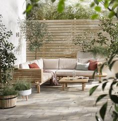 an outdoor living area with wooden furniture and plants