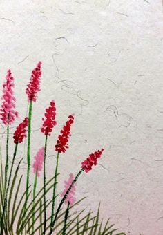 some pink flowers and green grass against a white wall with writing on the back ground