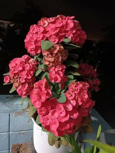 pink flowers are in a white vase on a ledge