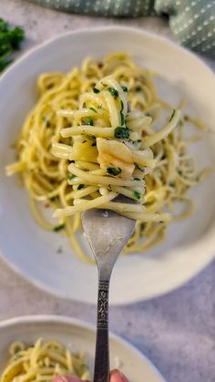 someone is holding a fork full of pasta