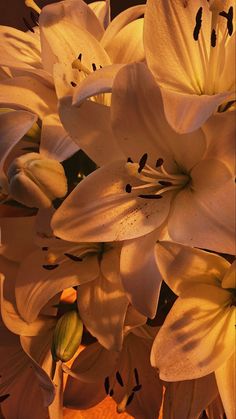 some white flowers that are in a vase