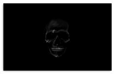 a black and white photo of a skull in the dark