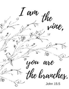 a black and white photo with the words i am the vine, you are the branches