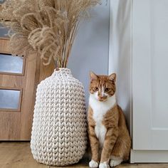 an orange and white cat sitting next to a crocheted vase on the floor