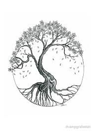 a drawing of a tree with its roots in the shape of a circle on a white background